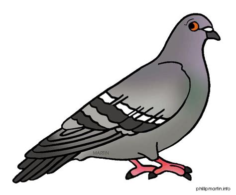 Pigeon Clipart 5 Free Clipart Images Mixed Media Art Journaling