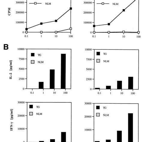 Responses Of Transgenic T Cells To Plp A Proliferative