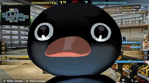 NOOT NOOT #nootnoot - YouTube