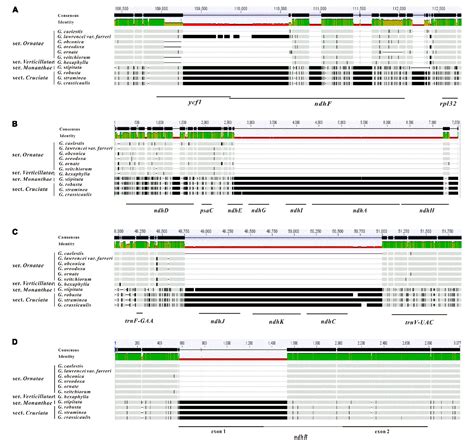 Figure 1 From The Complete Plastome Sequences Of Seven Species In