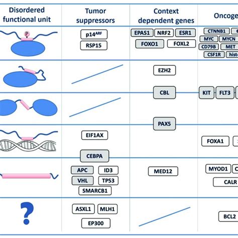 Cancer types with mutation incidence rates around or above 10% in the ... 