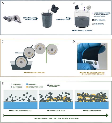 High Conductivity Sepia Melanin Ink Films For Environmentally Benign