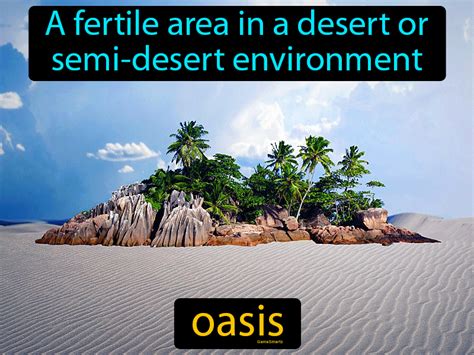 Oasis Definition & Image | GameSmartz