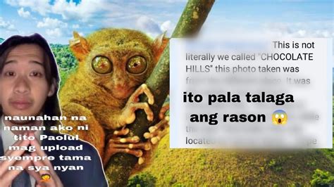 Resort Sa Chocolate Hills Tunay Na Rason Sa Likod Ng Issue Na Ito