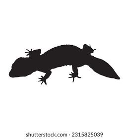 208 Leopard Gecko Silhouette Images, Stock Photos, 3D objects ...