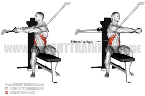 Barbell Deadlift Exercise Instructions And Video Weight Training Guide