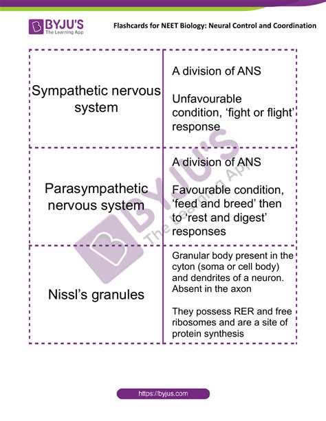 Neet Biology Flashcards Neural Control And Coordination Download