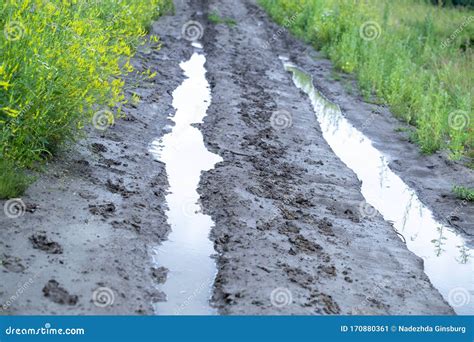 Muddy Road With Mud And Puddles In The Field Stock Image Image Of