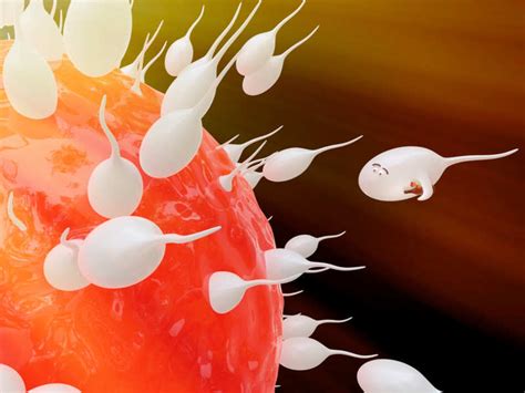 How Long Can The Sperm Last In Your Vagina Times Of India