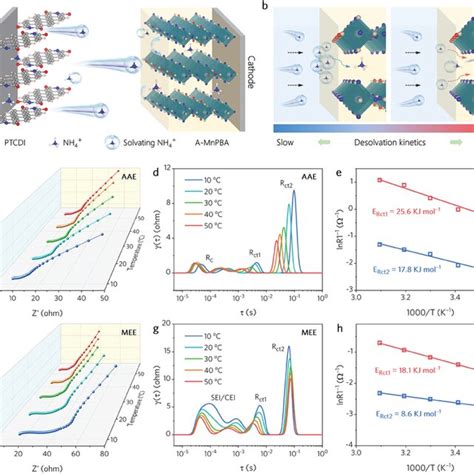 Interfacial Transport Kinetics Analysis A The Illustration Of Charge