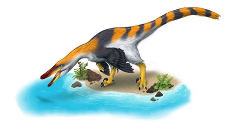 Austroraptor Fishing By Bangboodoragon On Deviantart