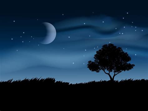 Hermoso Paisaje De Noche Con árboles Luna Y Nubes 4597156 Vector En