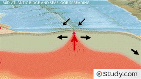 How Does Seafloor Spreading Support Plate Tectonics Floor Roma