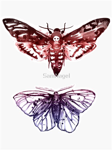 Moth Specimen Sticker For Sale By Samnagel Redbubble