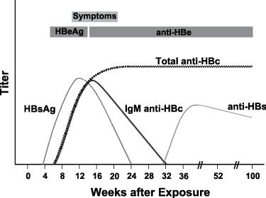 Hbc Igm Anti Hepatitis B Core Igm Newfoundland Labrador Public