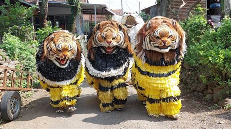 Kirab Can Macanan Singo Manggala Dan Drumband Maong Remas Di Kedawung