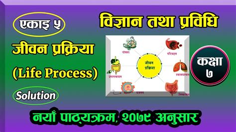 Class 7 Science And Technology Chapter 5 Life Process Youtube