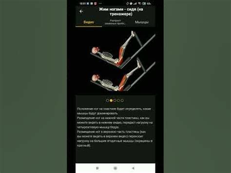 Жим ногами, какие мышцы работают? #спорт #motivation #sports #fitness ...