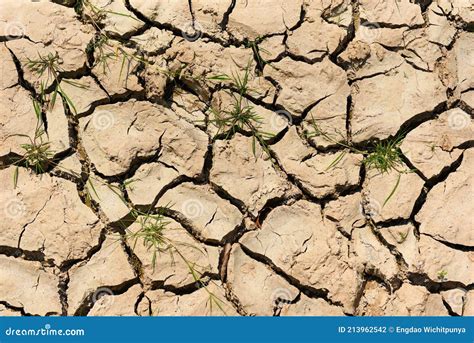 Conceito De Aquecimento Global Terra Rida Rachada Textura Seca E