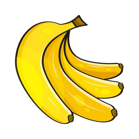 Banana Vector Illustration Of Bananas Vector Illustration For Muz