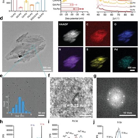 Synthesis And Structural Characterization Of Mpnpd A Size