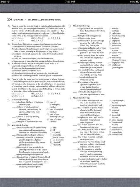 Chapter 7 Skeletal System Worksheet Answers Worksheet List | Anatomy ... 