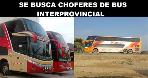 Se Busca Choferes De Bus Interprovincial