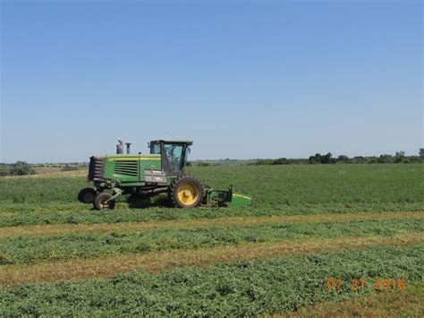 Mowing Hay - Werner Family Angus