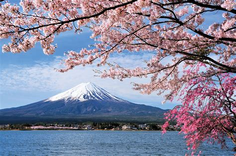 Japans Blossoming Venture Landscape