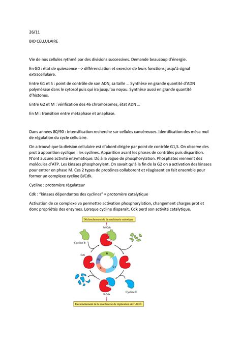 Cours 9 10 Biologie Cellulaire SV1 26 BIO CELLULAIRE Vie De Nos