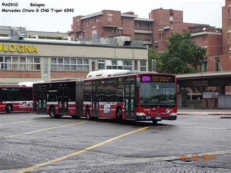 Tper Trasporto Passeggeri Emilia Romagna Photo Transport Italia