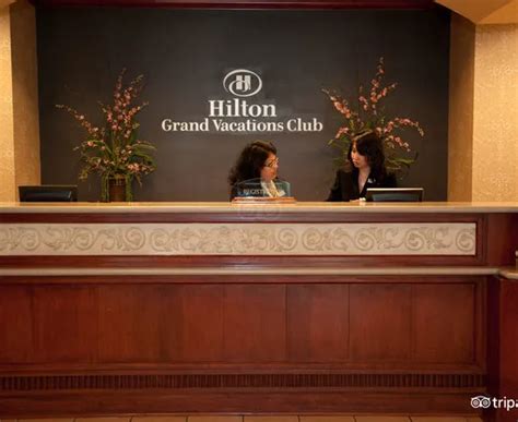 Hilton Grand Vacations on Paradise (Convention Center) (Las Vegas, NV ...