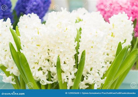 Jolie Composition En Fleurs De Jacinthe Bouquet Gai De Ressort Fait