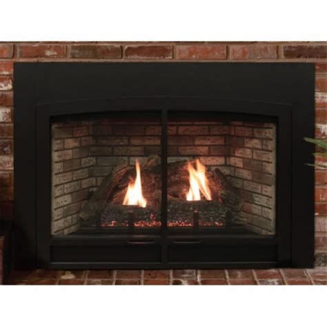 Empire Dvc20in71p Propane Blower Direct Vent Clean Face Ip Fireplace Insert Log Set Small 1