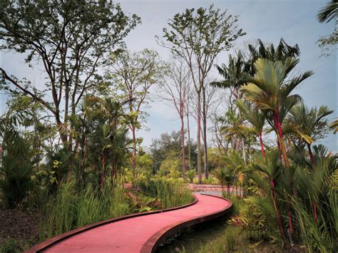 22 Best Nature Trails In Singapore Nature Walks