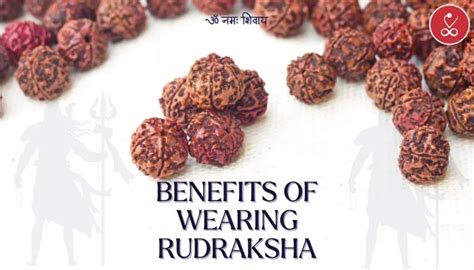 Shocking Benefits Of Wearing Rudraksha All Types Of Rudraksha