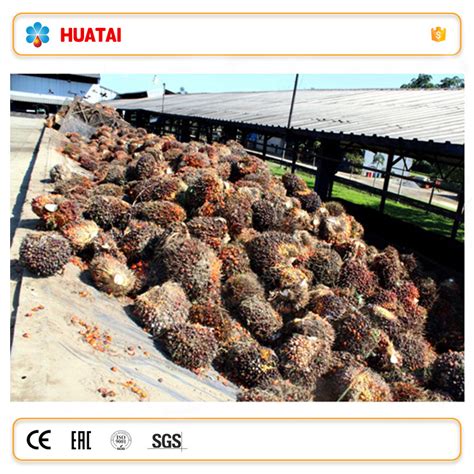 Advanced Technology 30tph Palm Oil Mill Palm Oil Processing Plant And