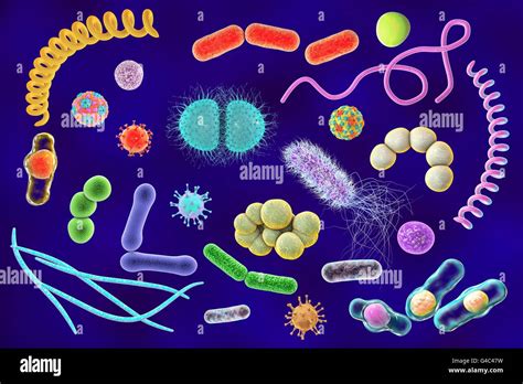 Les microbes Illustration d ordinateur d un mélange contenant des