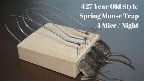 Best Mouse Traps 2023: Say Goodbye To Your Little Friends (for Less ...