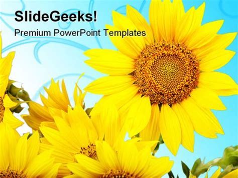 Sunflowers Beauty Powerpoint Templates And Powerpoint Backgrounds 0311