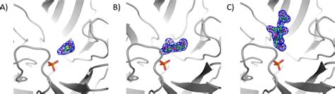 Figure S1 2fo Fc Electron Density Maps Contoured At 10 σ Around The