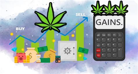 cannabis  beating   opioid crisis marijuana stocks