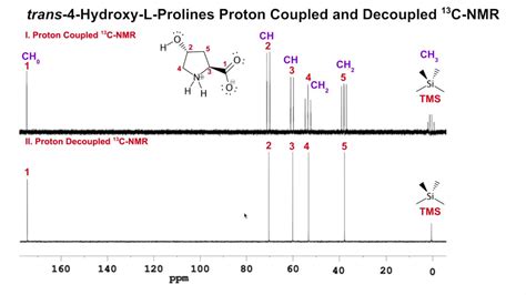 Trans Hydroxy L Prolines H Coupled And Decoupled C Nmr Youtube