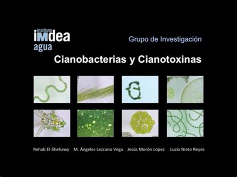 Grupo De Investigaci N En Cianobacterias Y Cianotoxinas Instituto