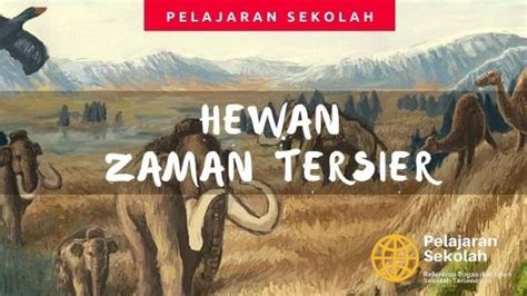 Ciri Ciri Zaman Kuarter Pada Zaman Neozoikum Pelajaran Sekolah