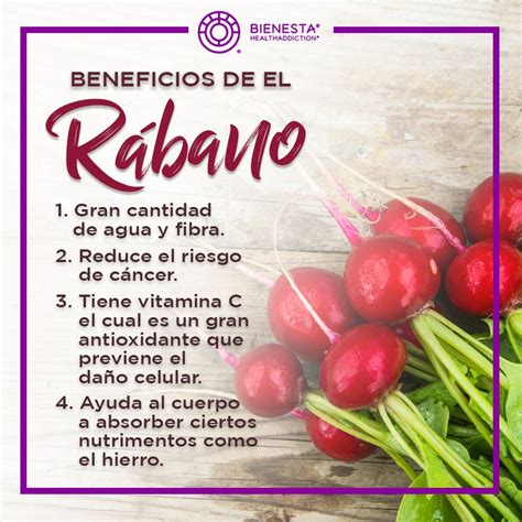 Razones Para Comer Rábanos 41 OFF i xlf pl