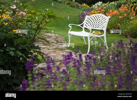 White Bench Next To Flagstone Path Through Out Of Focus Purple Flowers