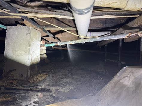 I Investigated The Ellesquishy Leak  Here's What I Found. Image 16