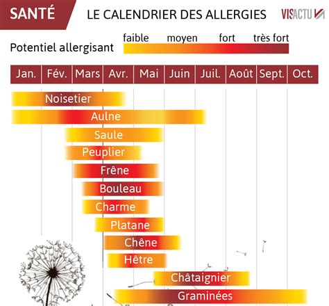 Nouveau pic de pollens de bouleau ces prochains jours Météo Express