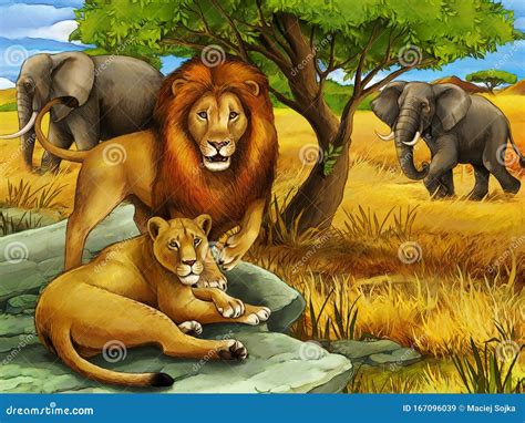 Safari - Lions Royalty-Free Illustration | CartoonDealer.com #33835440